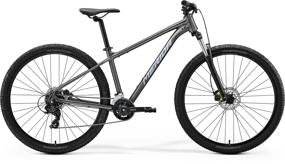 Big Nine 15 - Silk Gunmetal Grey (Blue) - MY26