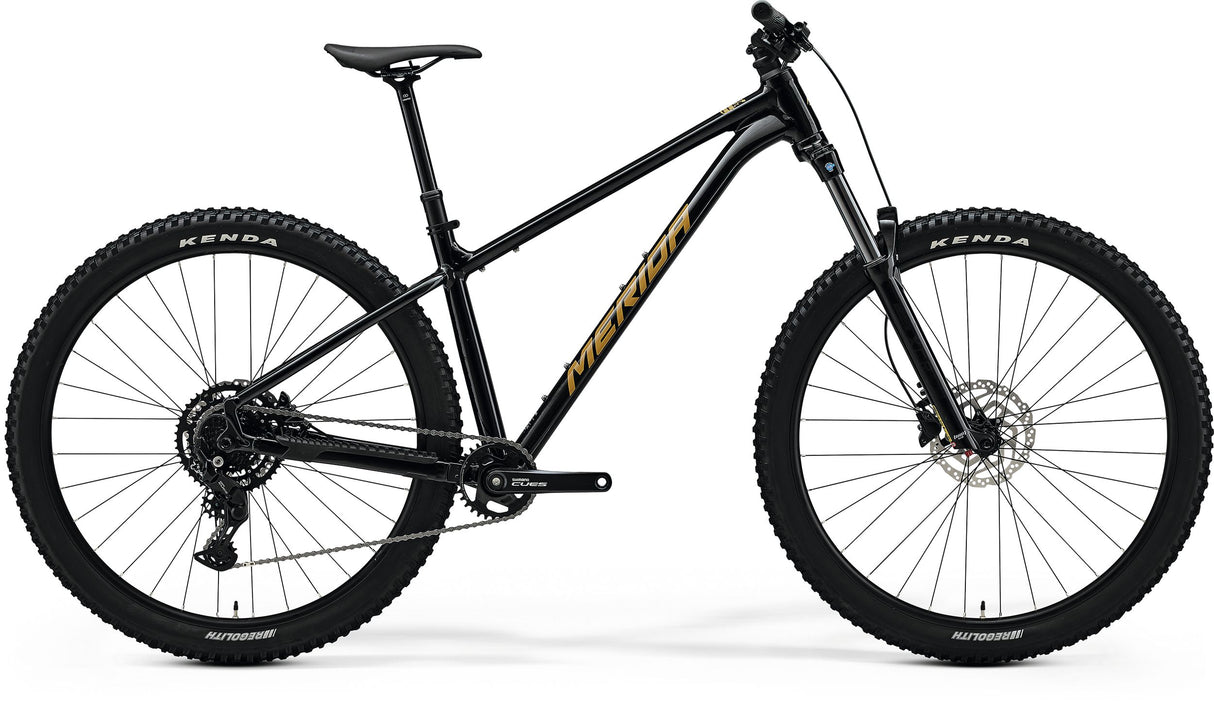 Big Trail 300 - Black (Brown) - MY26