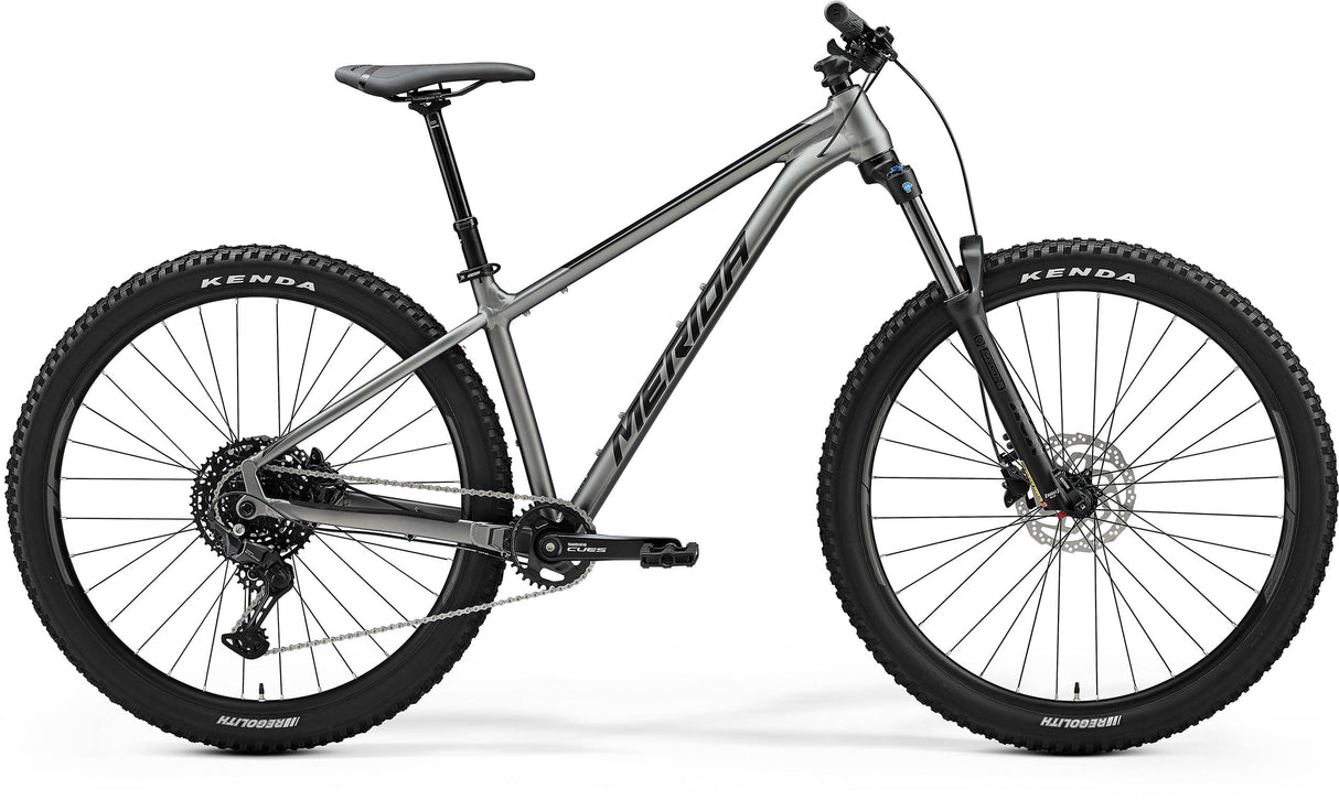Big Trail 400 - Grey/Black - MY24