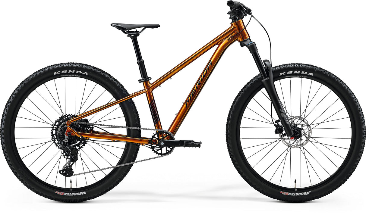 Matts J.Champion - Wild Honey (Black) - MY26