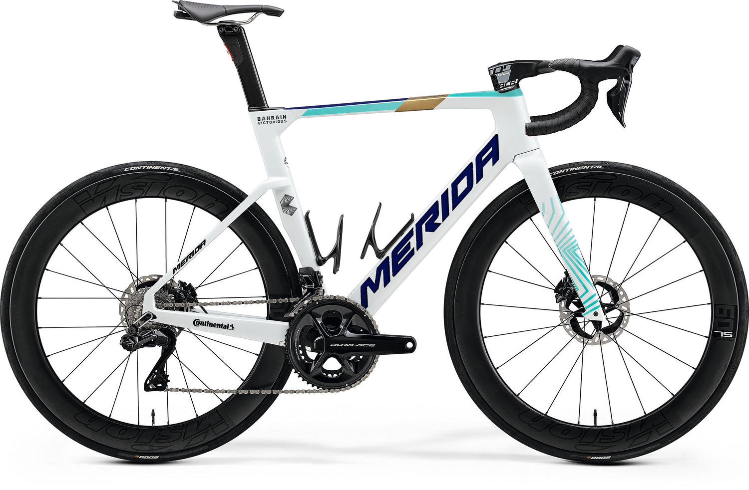 Reacto Team - Team Colours - MY24