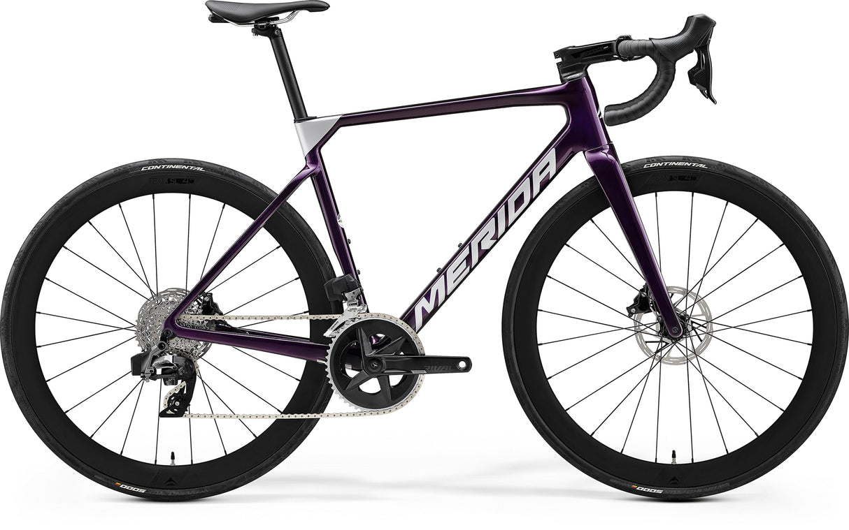 Scultura 7000 - Purple - MY23