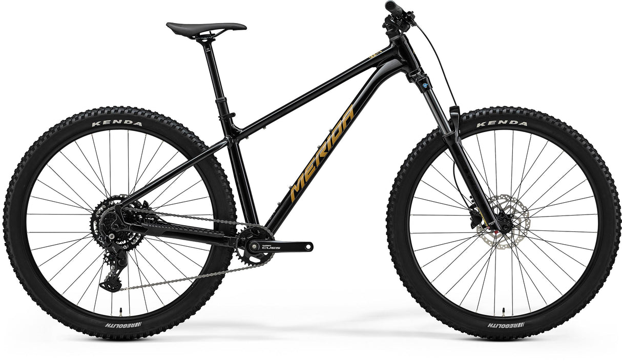 Big Trail 300 - Black/Brown - MY25