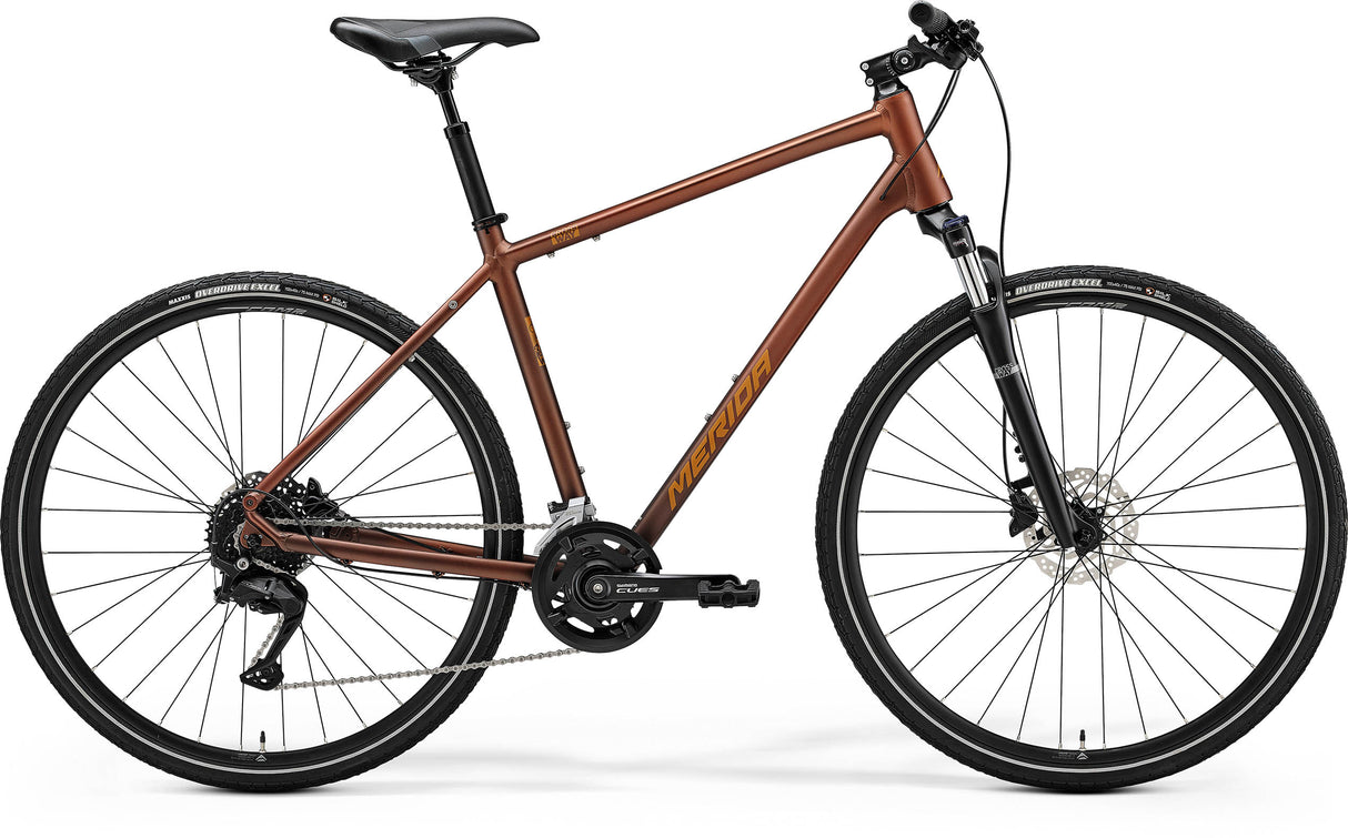 Crossway 100 - Bronze - MY24