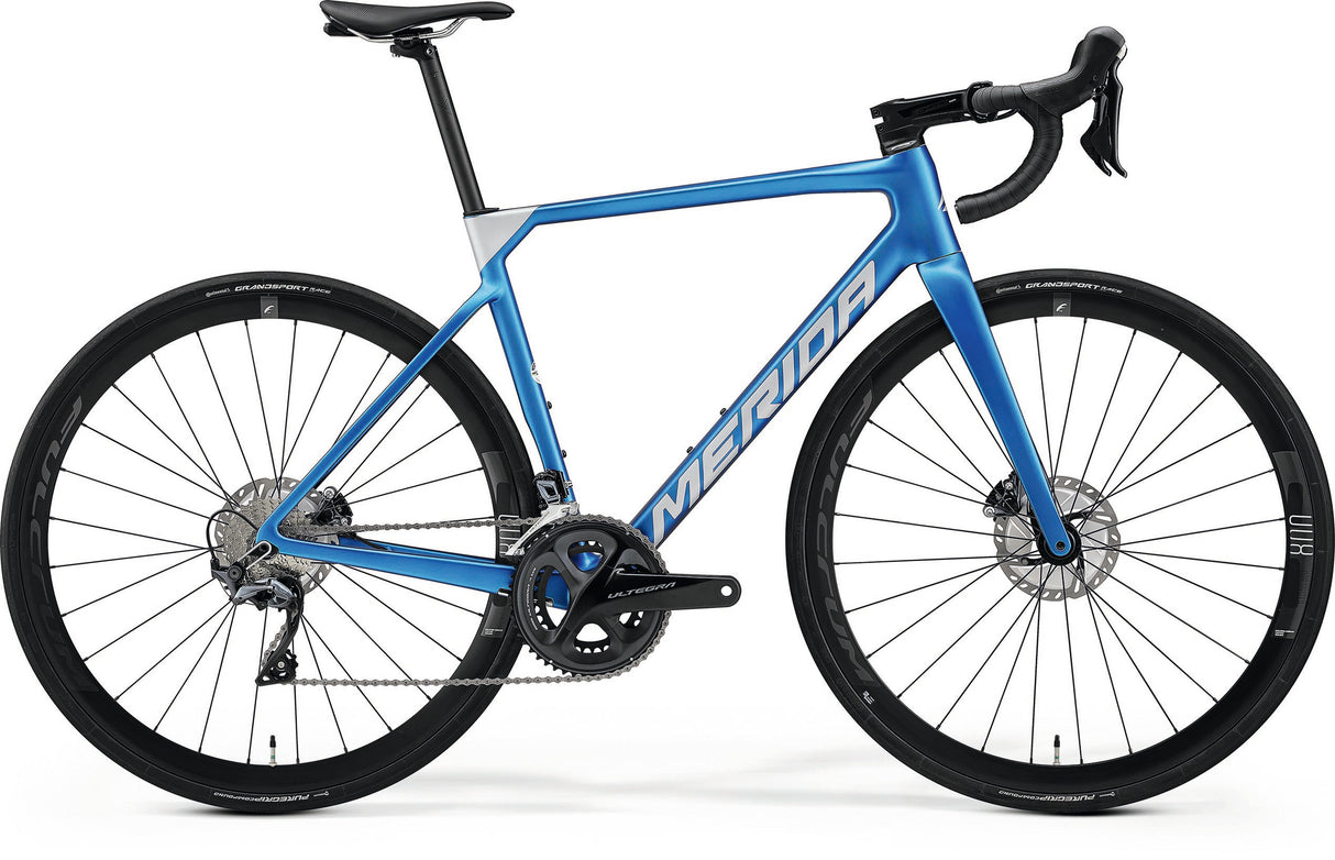 Scultura 6000 - Blue - MY23