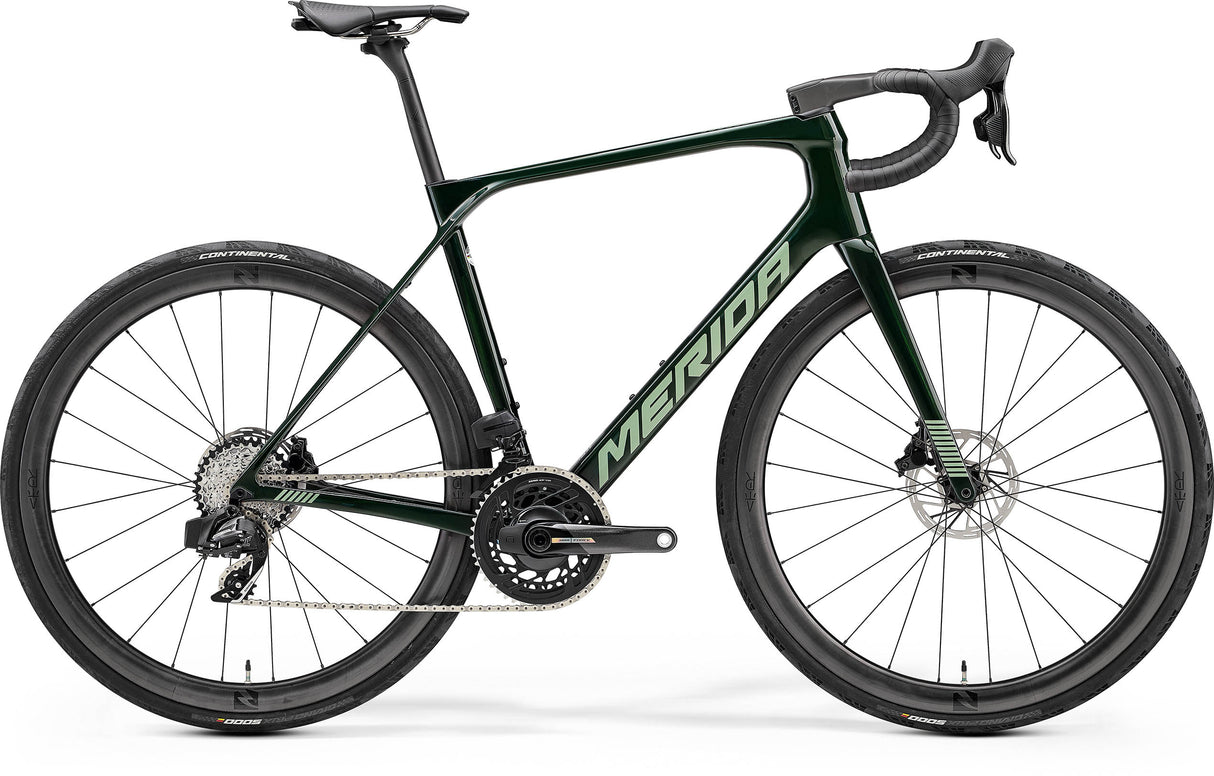 Scultura Endurance 9000 - Green - MY24