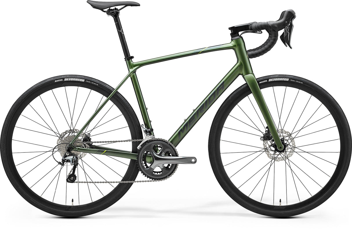 Scultura Endurance 300 - Silk Green/Green-Silver - MY25