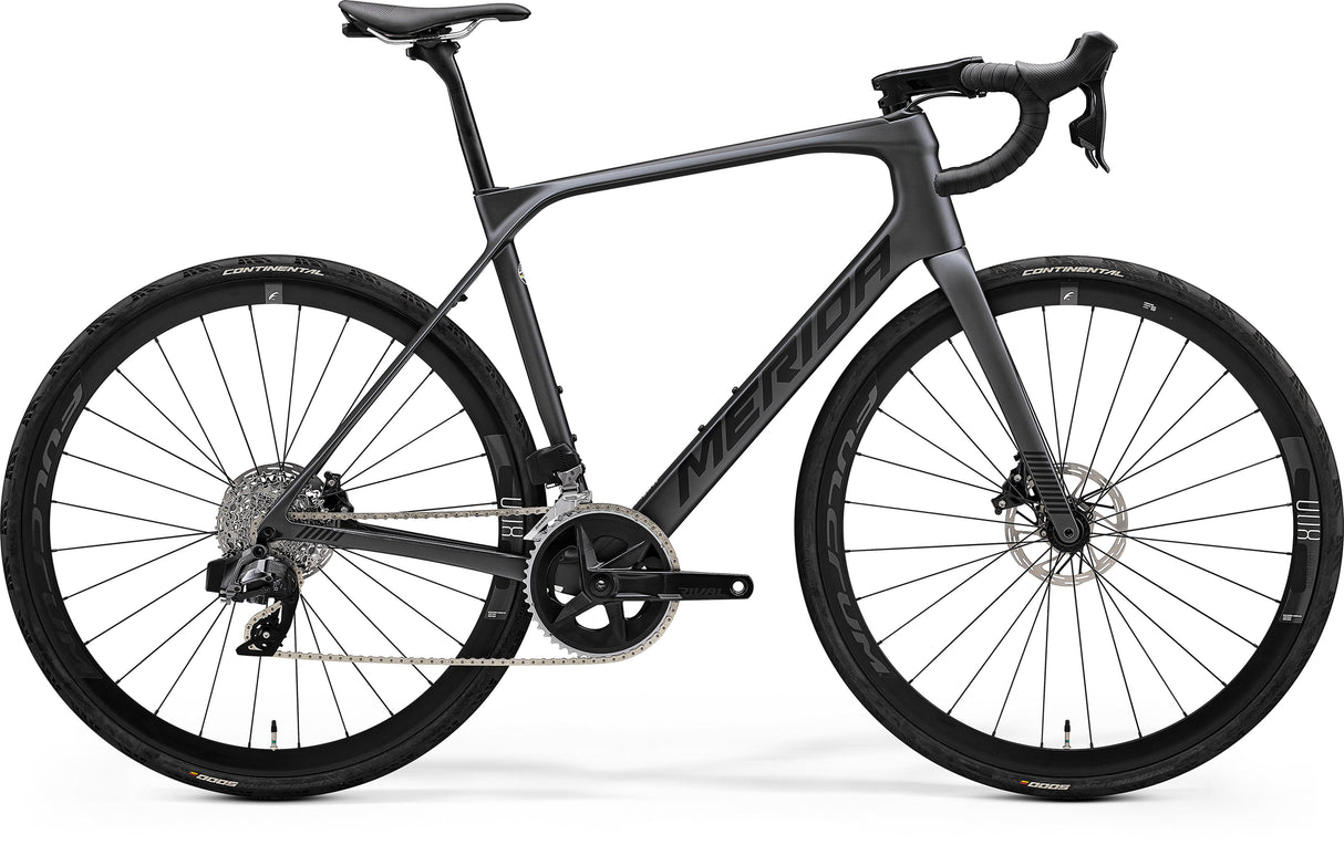 Scultura Endurance Rival-Edition - Dark Silver - MY23