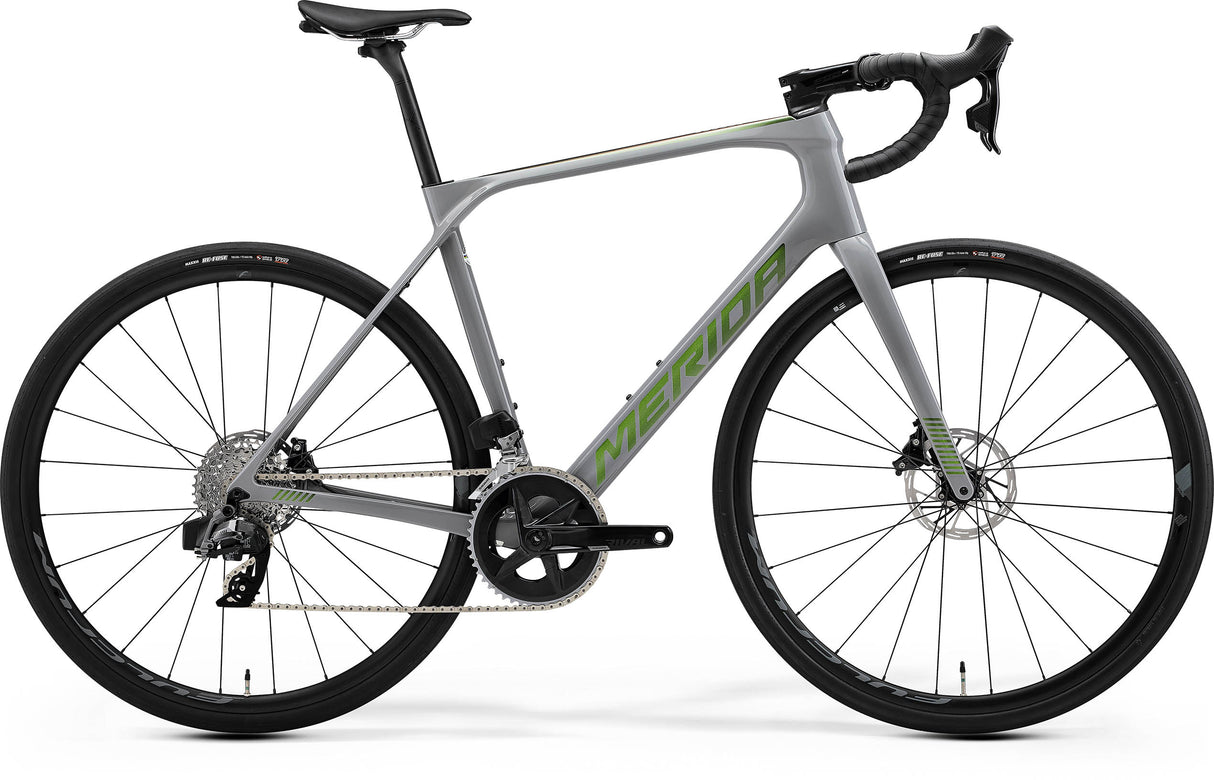 Scultura Endurance Rival Edition - Grey/Green - MY24