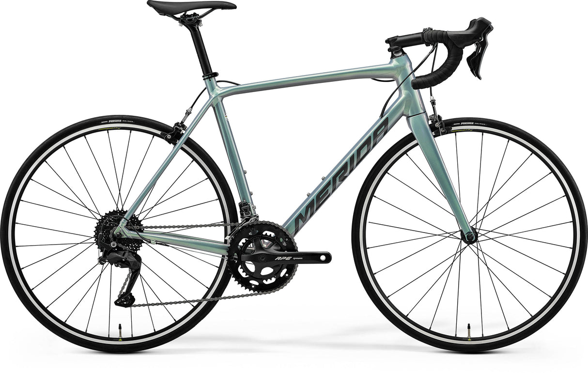 Scultura Rim 100 - Blue/Green Clear Coat (Silver) - MY26