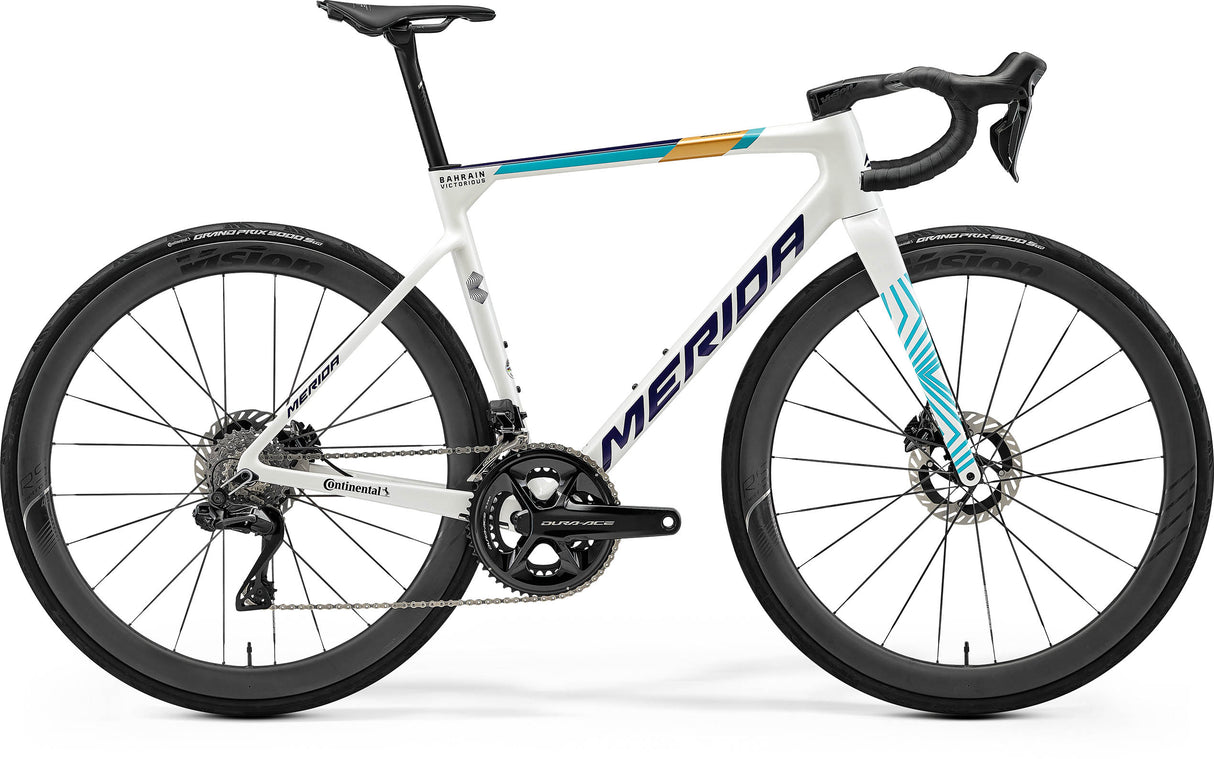 Scultura Team - Teal/Pearl (Team) - MY26