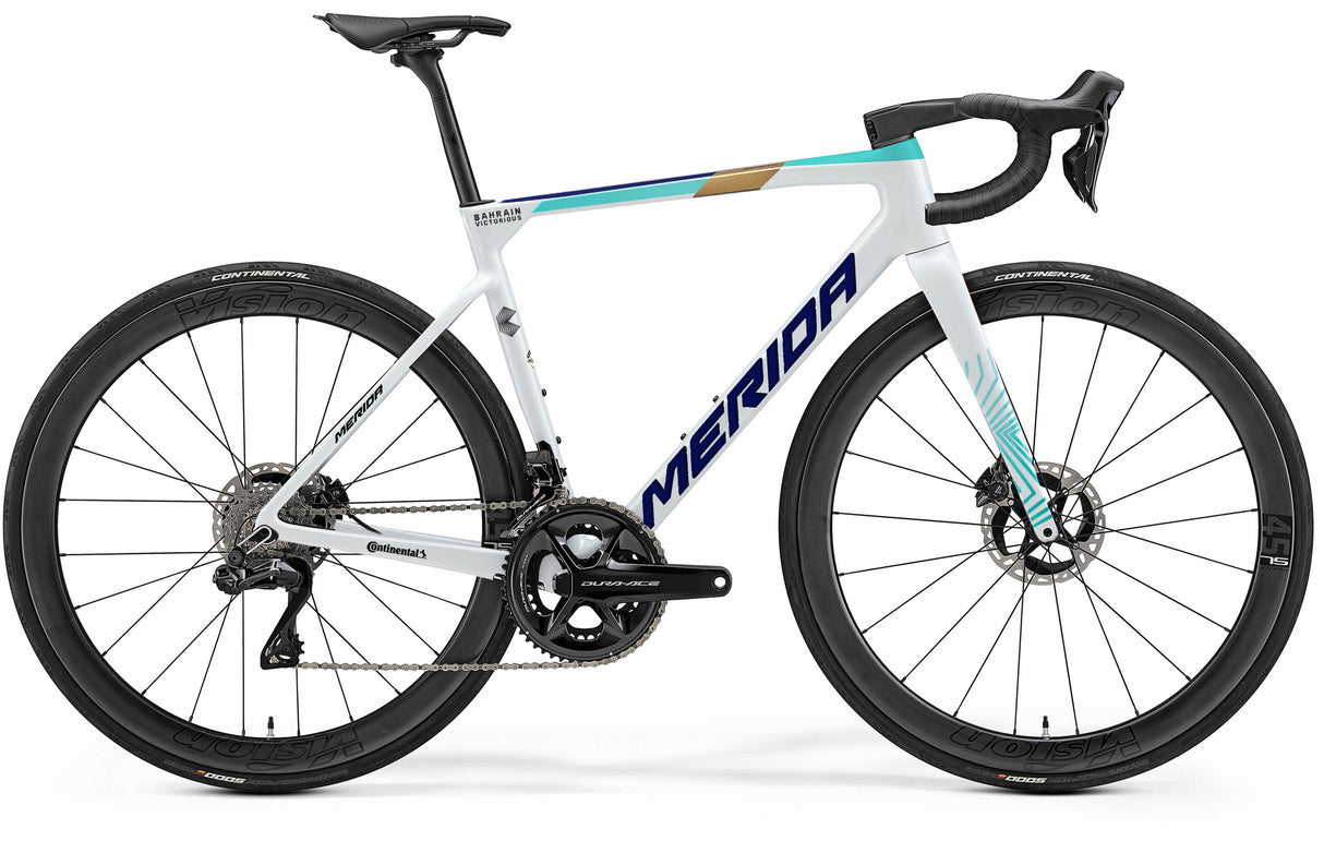 Scultura Team - Team Colours - MY24